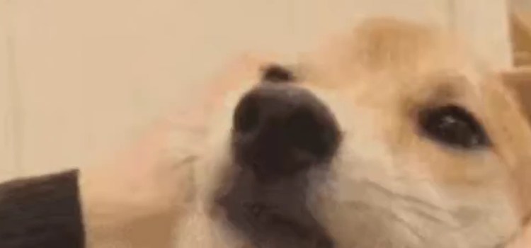  - 星星还是那么亮