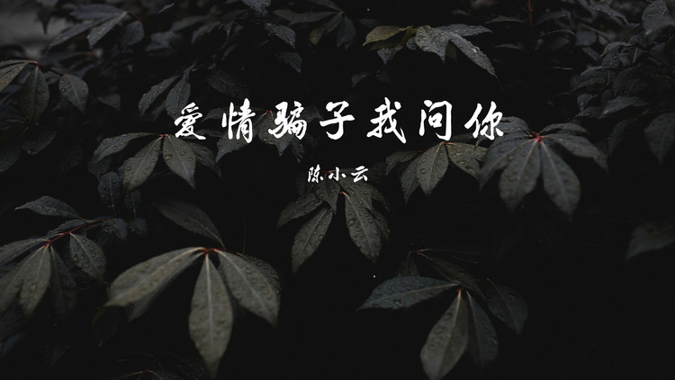 陳小云《愛情騙子我問你》歌詞版mv