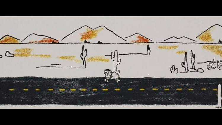 六公主lauv为他的宠物狗billy发行了首支单曲《light rain》