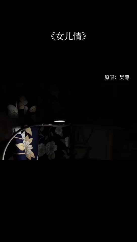  - 女儿情