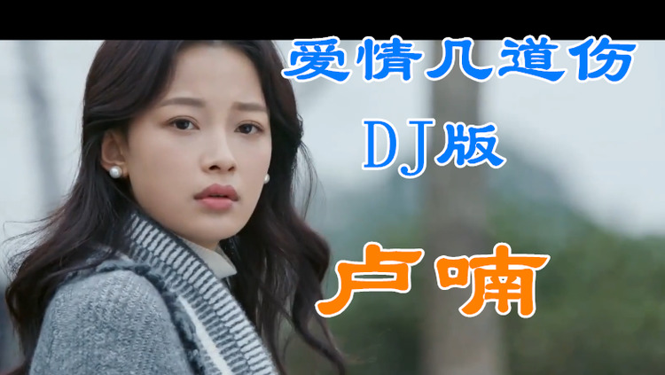  - 卢喃《爱情几道伤》（DJ版）-什么是地久和天长。