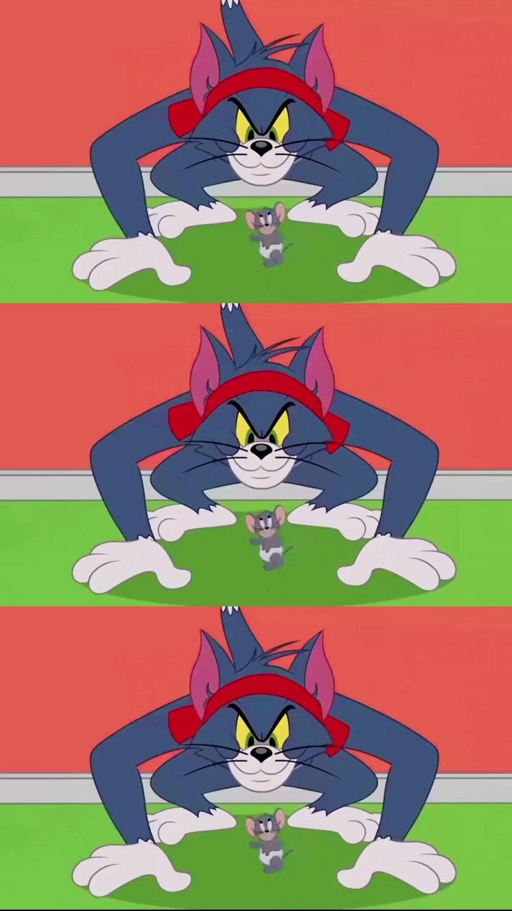 - 学功夫还得看汤姆汤姆猫 骚操作 搞笑配音 猫和老鼠