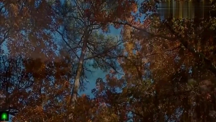 - 音乐风光片:班得瑞《童年》