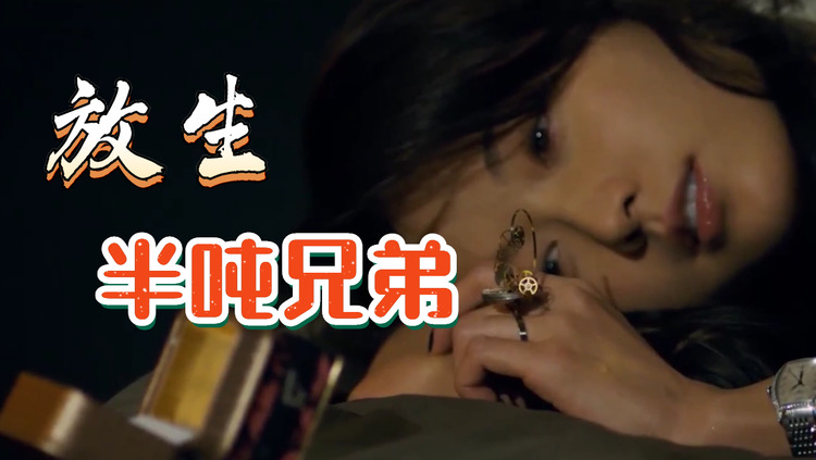 - 半吨兄弟《放生》一曲经典的翻唱歌曲,百听不厌~