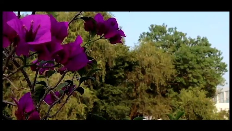  - 广州中医药大学64周年校庆MV——与你