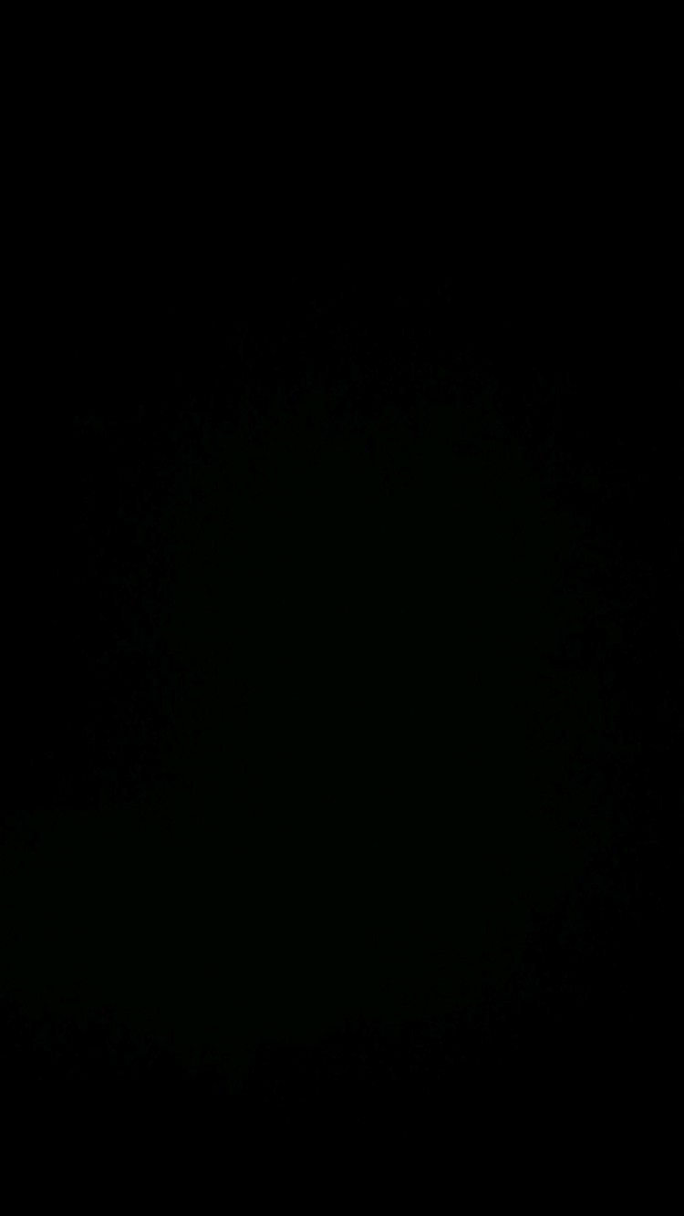  - 唯一人  让我不惧风雨