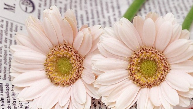 - 老天一定会把最好的留到最后,所以等久一点真的没有关系