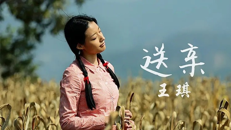 王琪《送亲》又一次火爆全网,凄美的农村爱情故事,催人泪下!