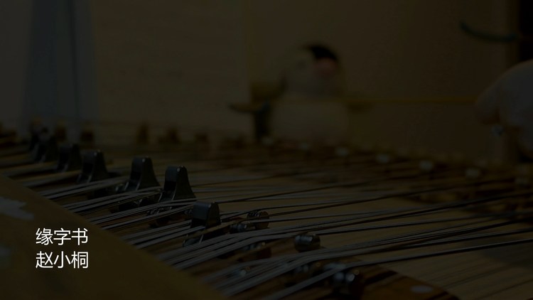  - 三生三世枕上书的插曲缘字书用扬琴演奏出来，这感觉太仙儿了！