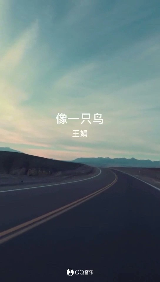  - 《像一只鸟》-王娟