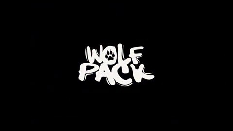  - Wolfpack Medusa电音节官方After Movie释出