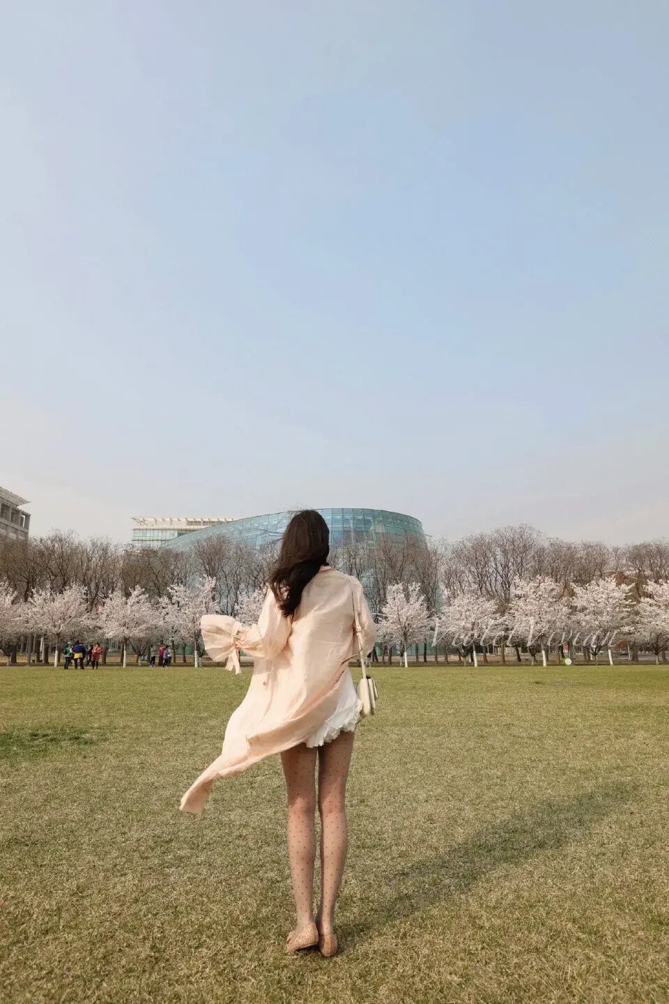 图片[23]-[日常随拍]136-六色网