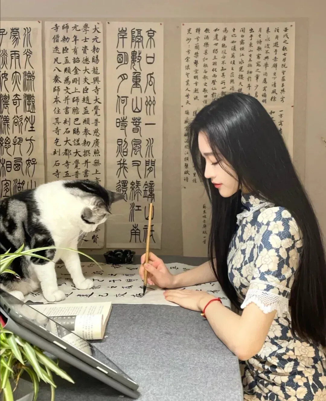 图片[34]-[日常随拍]55-六色网