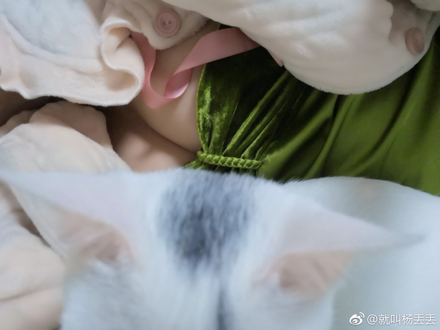 图片[46]-淘宝买家-内衣秀01-六色网