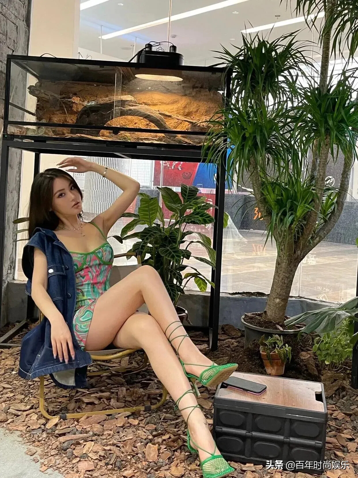 图片[55]-生活随拍71-六色网