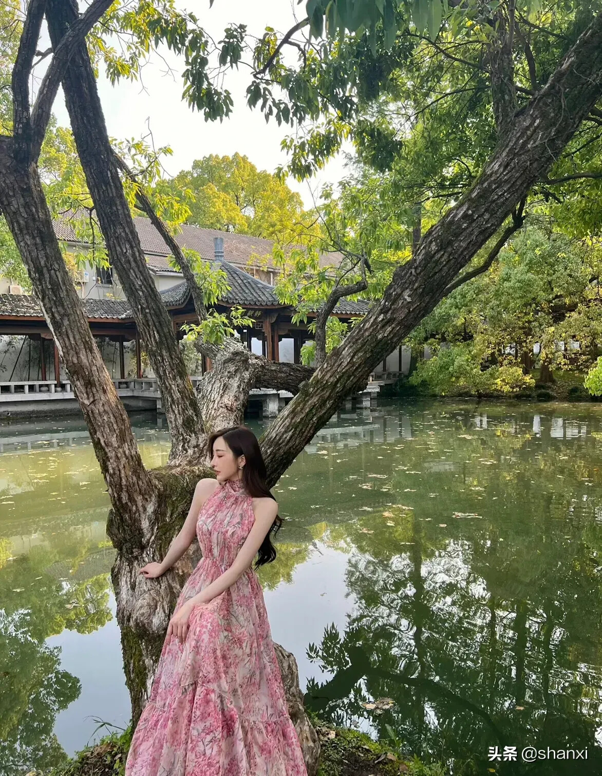 图片[16]-[日常随拍]200-六色网