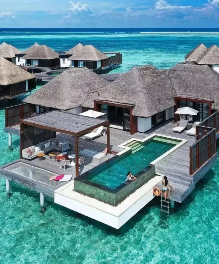 图片[43]-生活随拍35-六色网