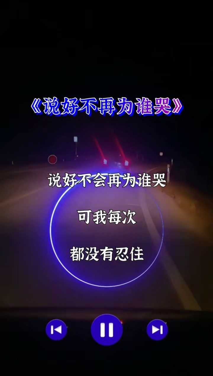 说好不会再为谁哭,可我每次都没有忍住……#伤感音乐 #情绪