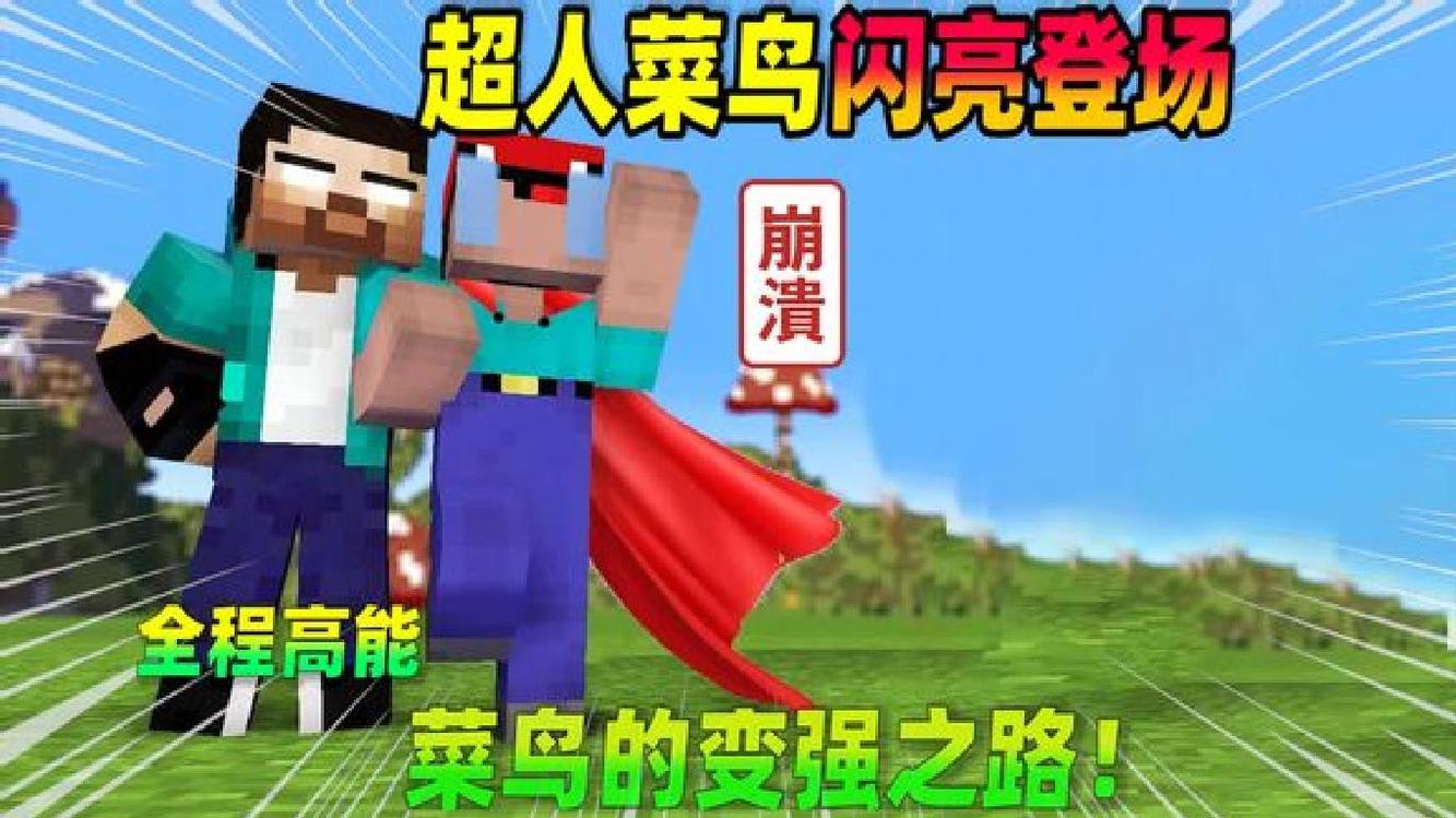 我的世界:菜鸟得到了him的帮助,他会变强吗?