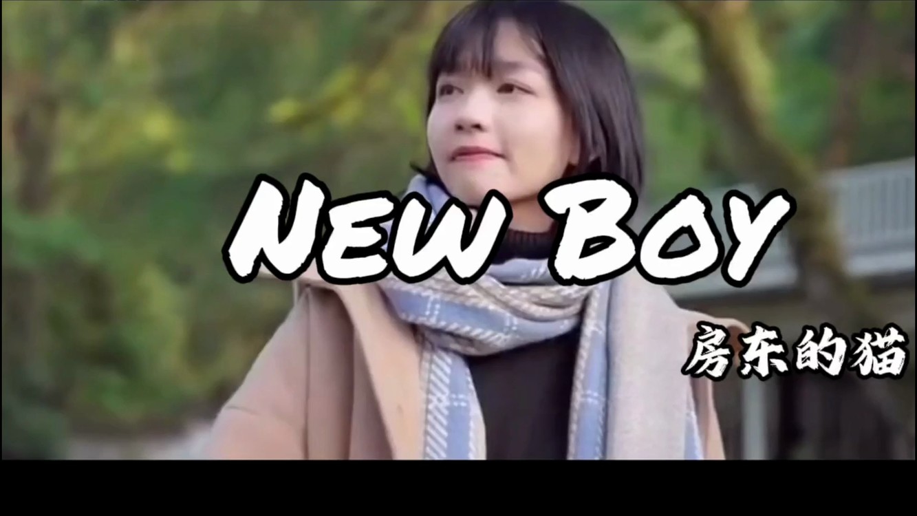 房东的猫 new boy壁纸图片