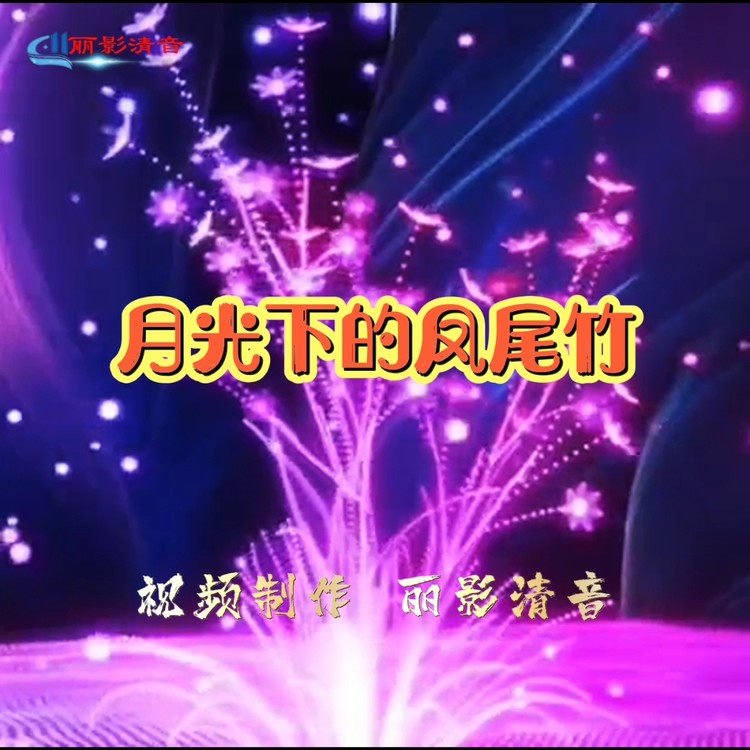 - 月光下的凤尾竹