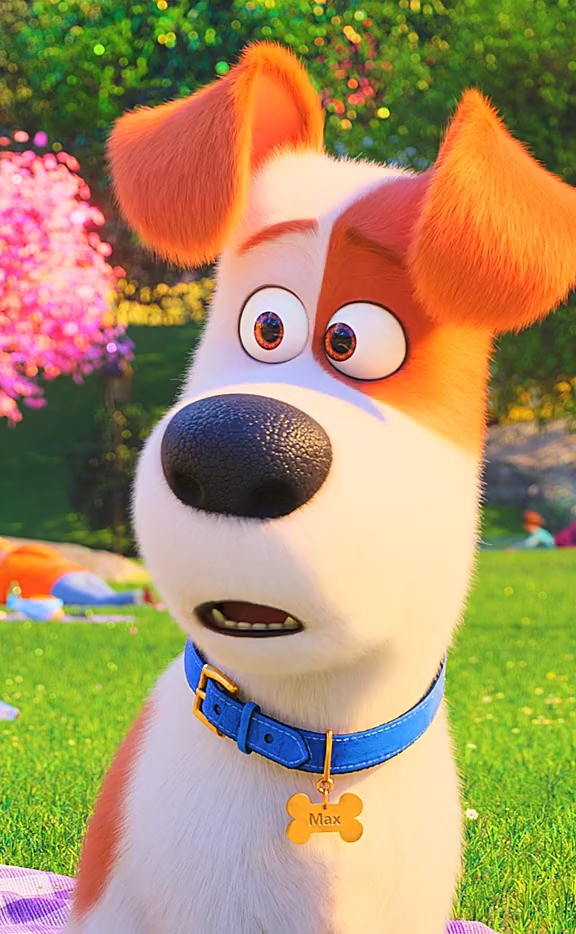 小时候的欢乐时光爱宠大机密2