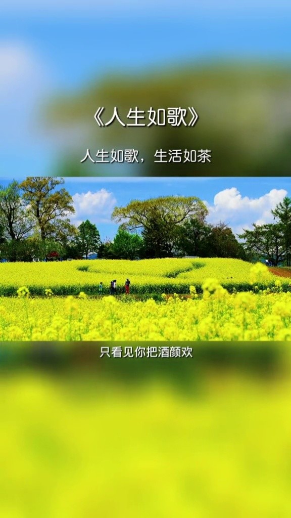 海来阿木小阿枫人生如歌好像他们曾经为你做过什么总有