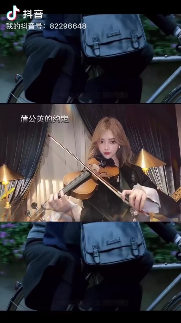  - 蒲公英的约定