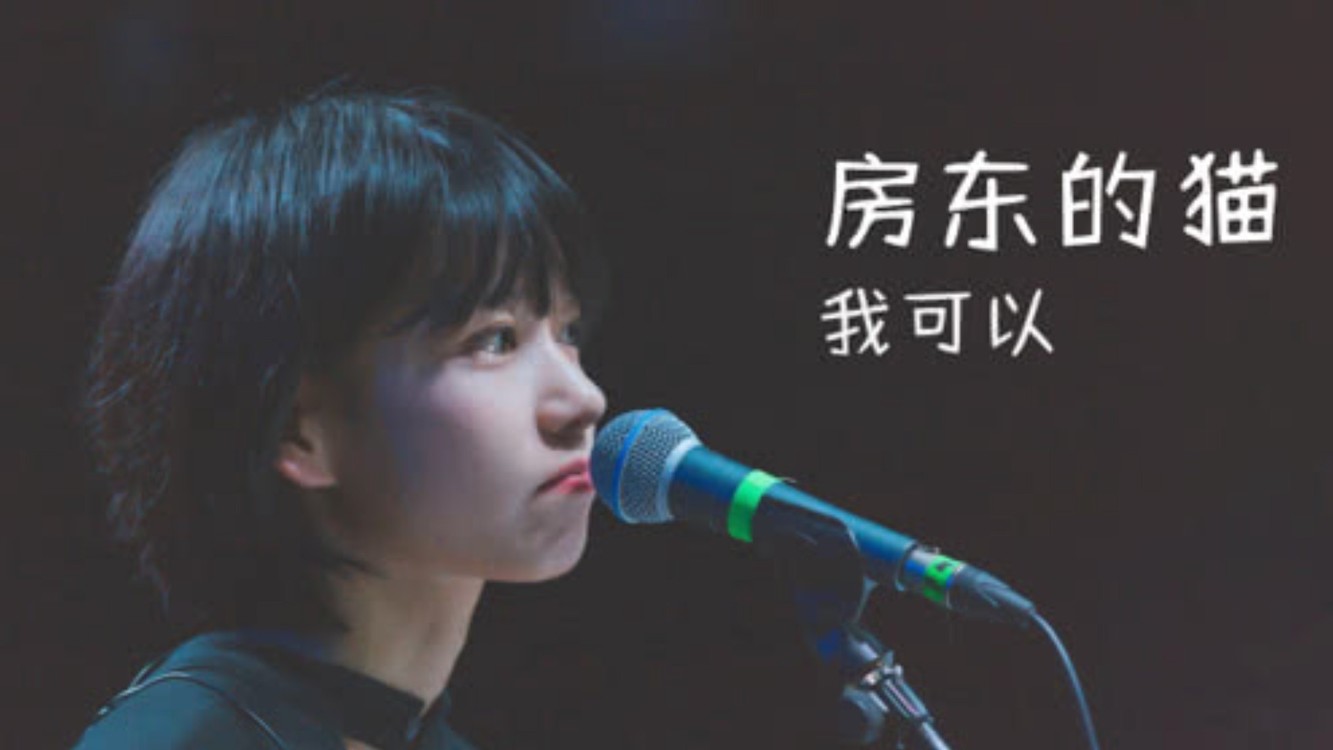 民谣初恋女神"房东的猫",四首超好听的歌曲,初恋感满满