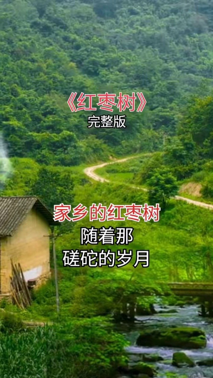 歌曲红枣树背景照片图片
