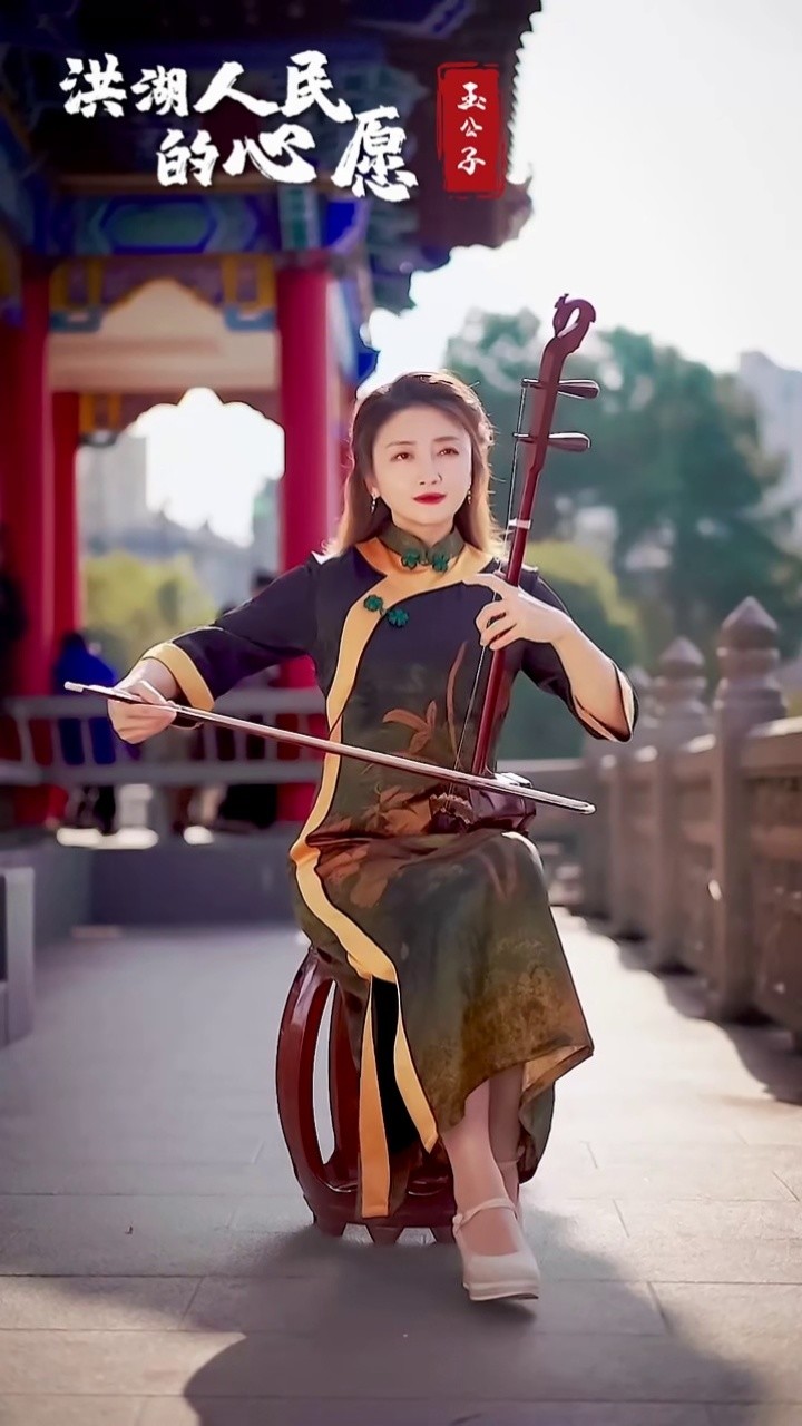 洪湖人民的心愿 #dou来奏乐吧 #二胡 #经典 #弘扬国乐 #热门