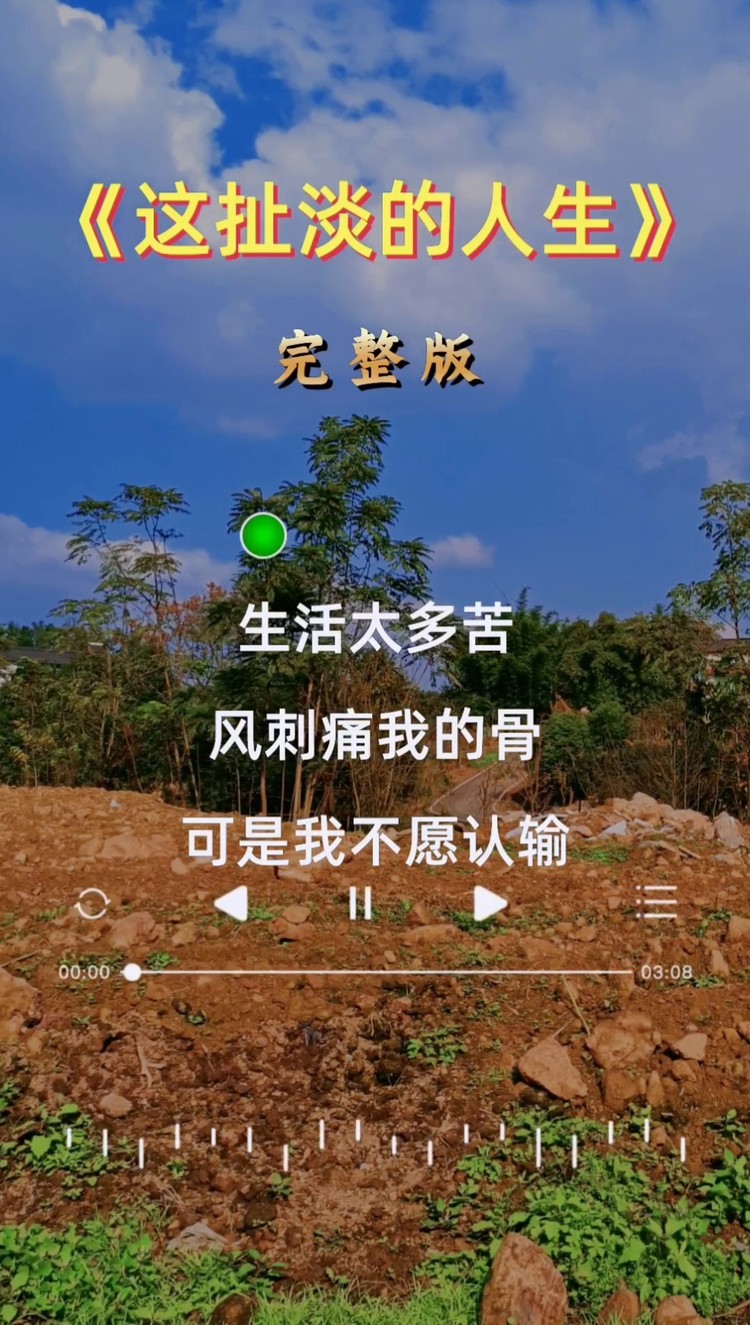 这扯淡的人生 唱出了多少人的心声和心酸  #伤感音乐 #完整版   #我