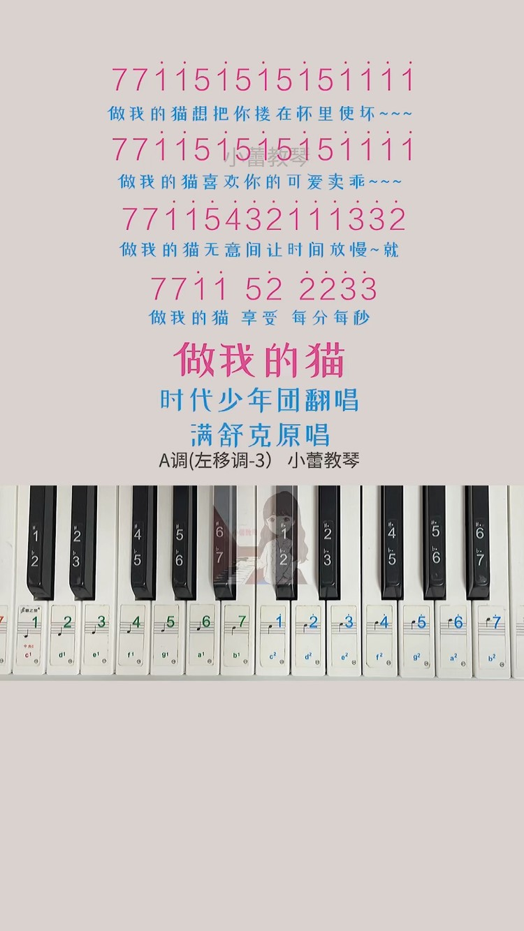 做我的猫吉他简谱图片