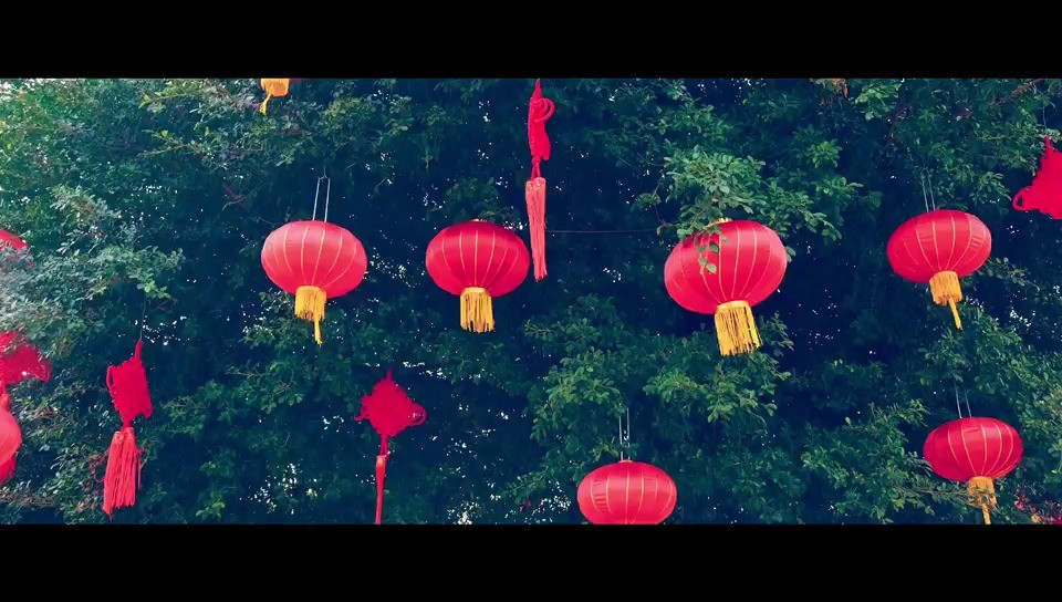  - 虎虎生威最高明