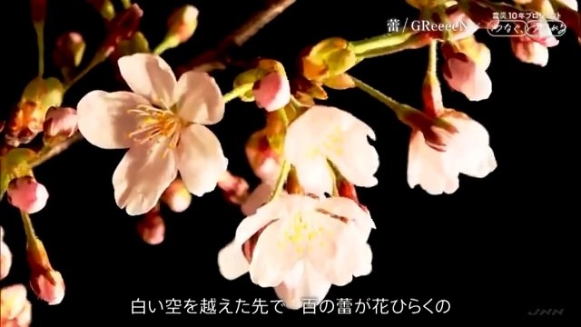 Greeeen 爱呗 翻唱 中日字幕 饭制版 高清mv在线看 Qq音乐 千万正版音乐海量无损曲库新歌热歌天天畅听的高品质音乐平台