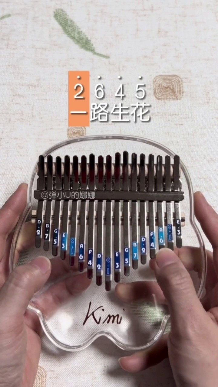 《一路生花》卡林巴教学/拇指琴教学