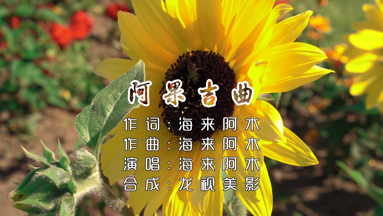 一首阿果吉曲美女深情演唱特别有感觉