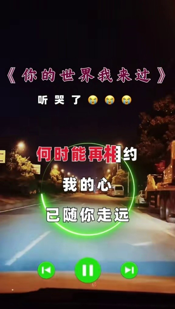 你的世界我来过 #完整版 #伤感音乐 #一首歌一个故事