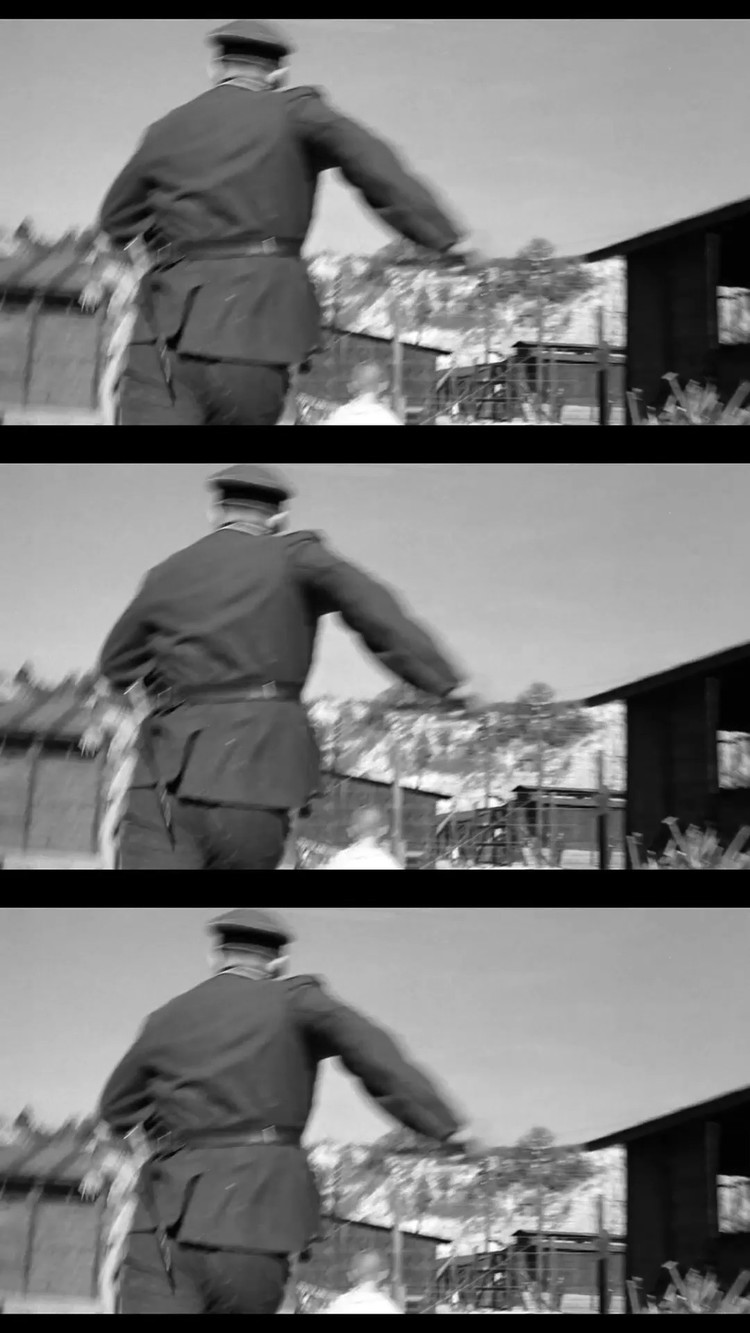 - 辛德勒的名单、灭口