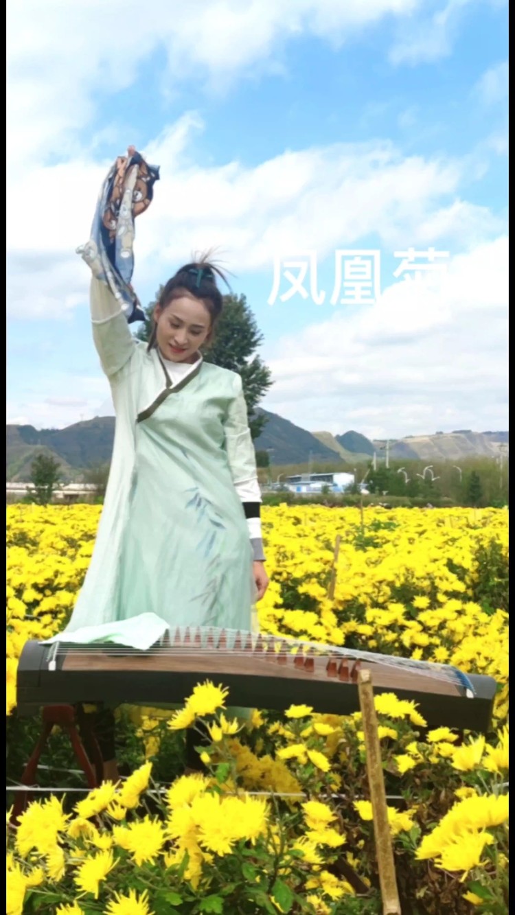 - 梅花三弄(古筝吉他)