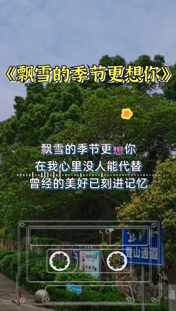 飘雪的季节更想你 #伤感音乐