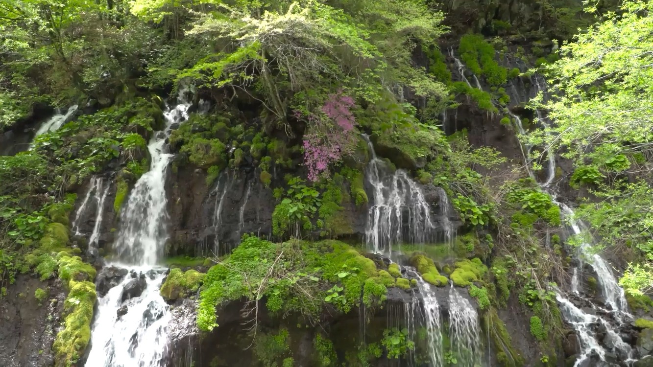  - 谁一笑天地宽阔