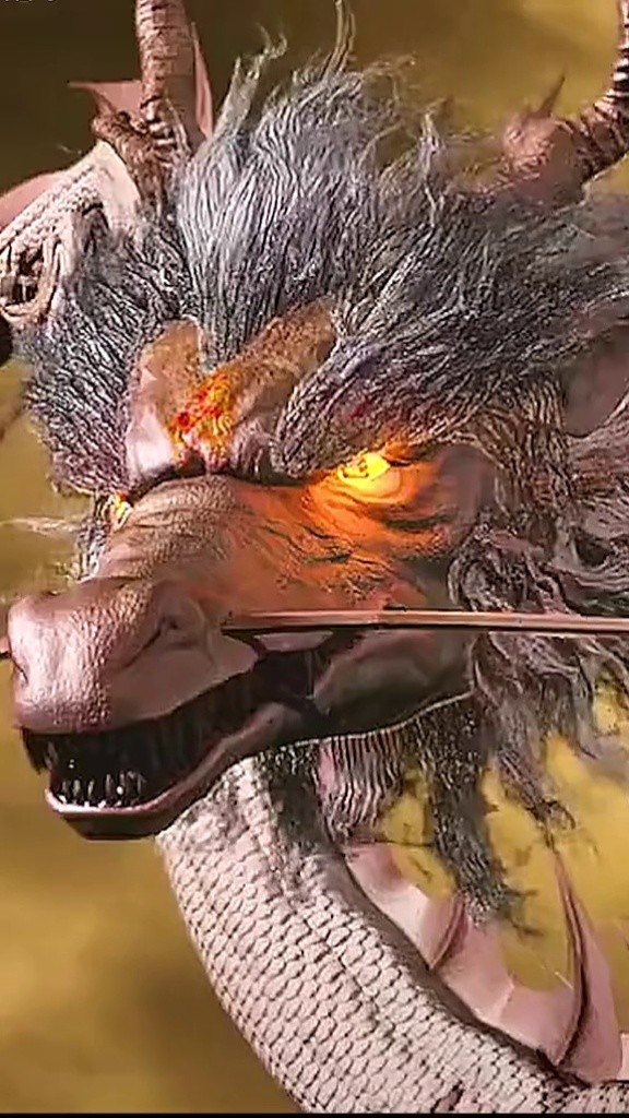 黑龙  #银龙  #双龙记  #双龙记之和平契约