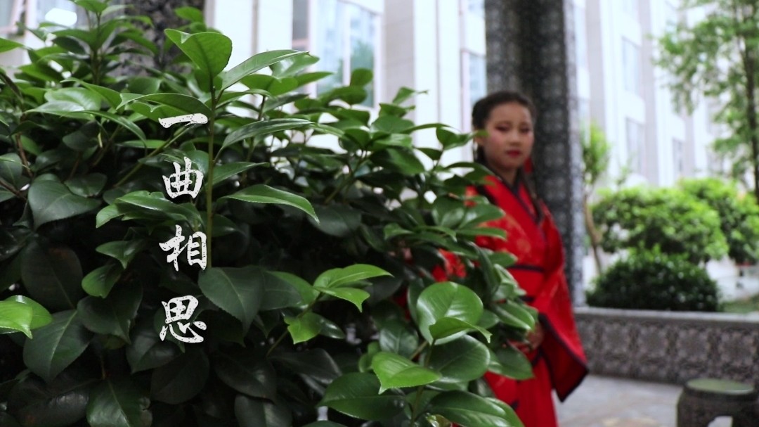  - 潮童音乐&李佳蕊《一曲相思》