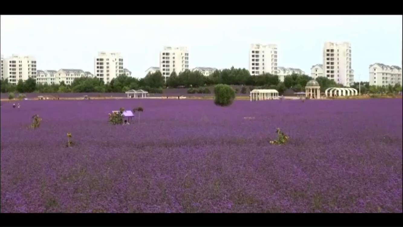  - 光前-为什么会狠心离开