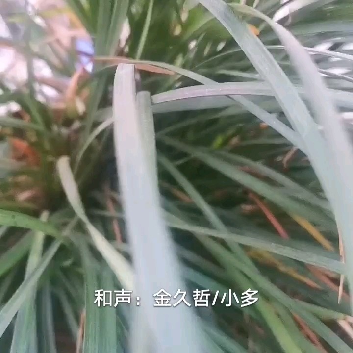  - 女人就要活得漂亮