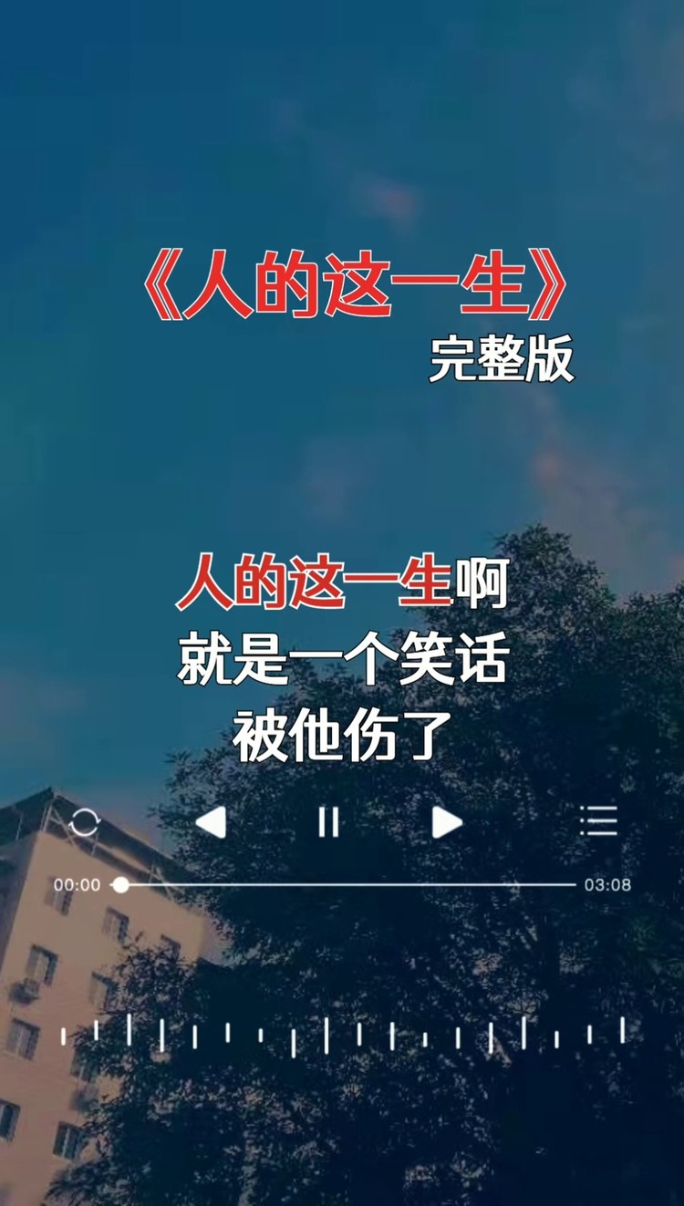 谁没爱过,谁没伤过…#人的这一生#经典歌曲#伤感音乐#完整版