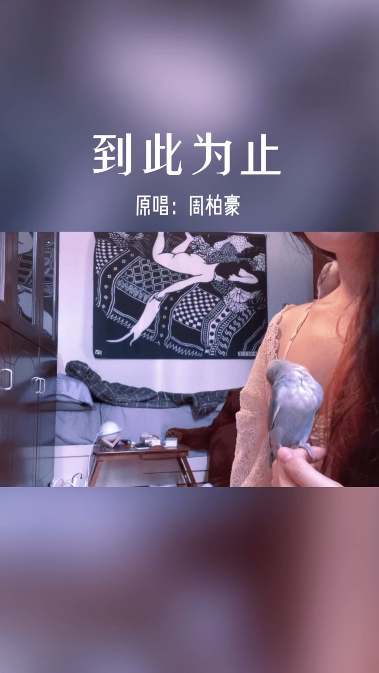  - 到此为止
