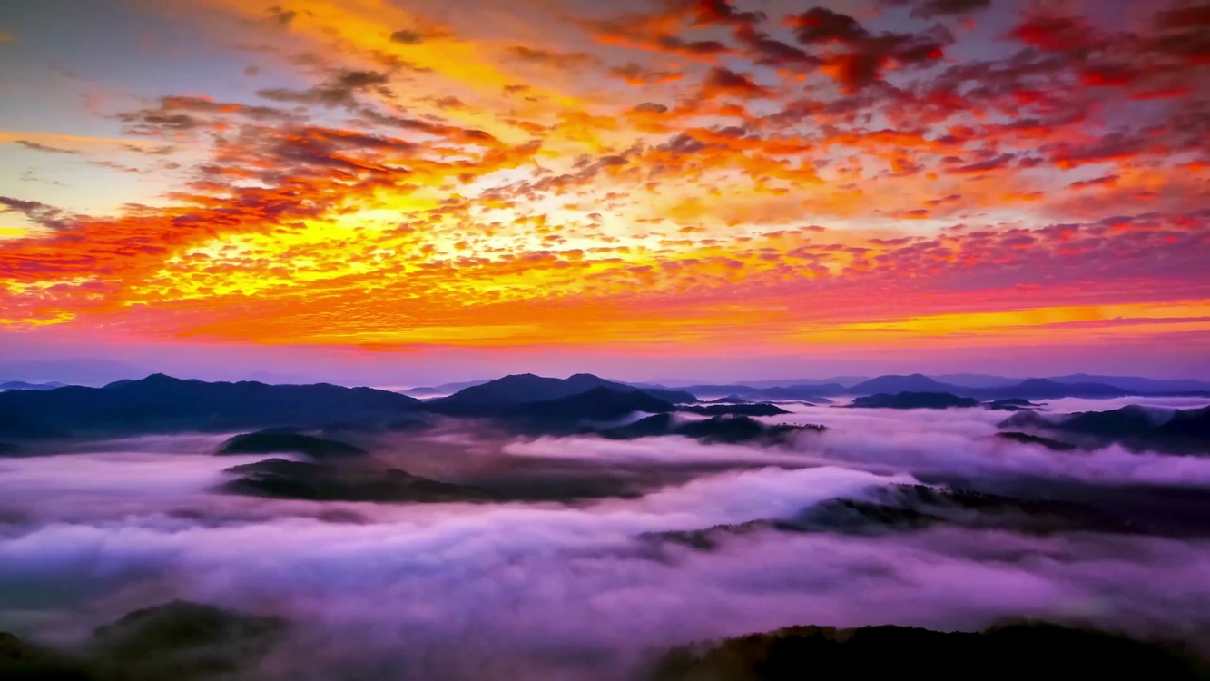 - 看这盛世如你所愿,这盛世里,有你有我!