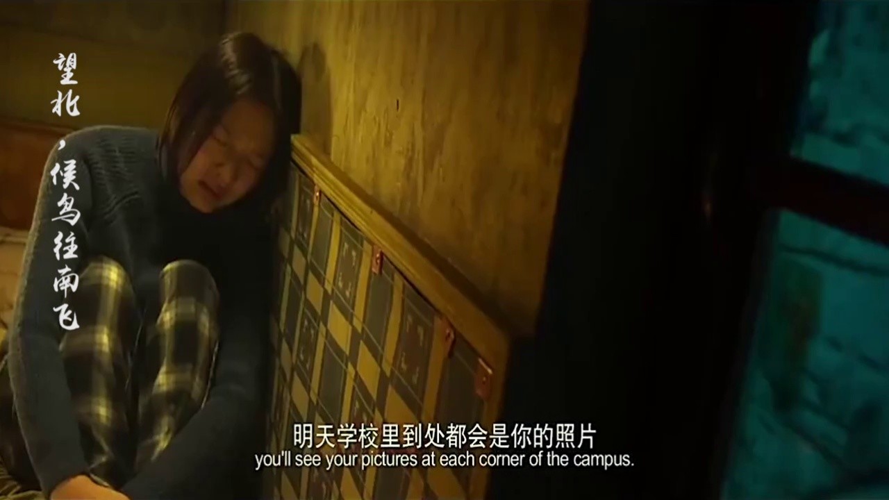 这样是真不对但维凝是真好看辣目洋子楚楚baby